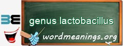 WordMeaning blackboard for genus lactobacillus